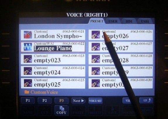 Loading Custom Voices